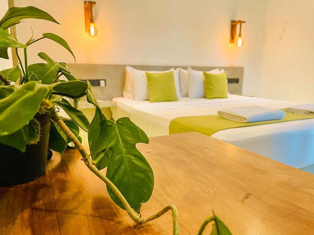 Eton Villa Dikwella Εξωτερικό φωτογραφία